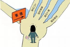 日照贷款清欠服务